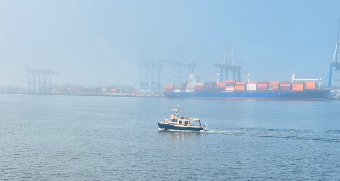 That fish could cost you