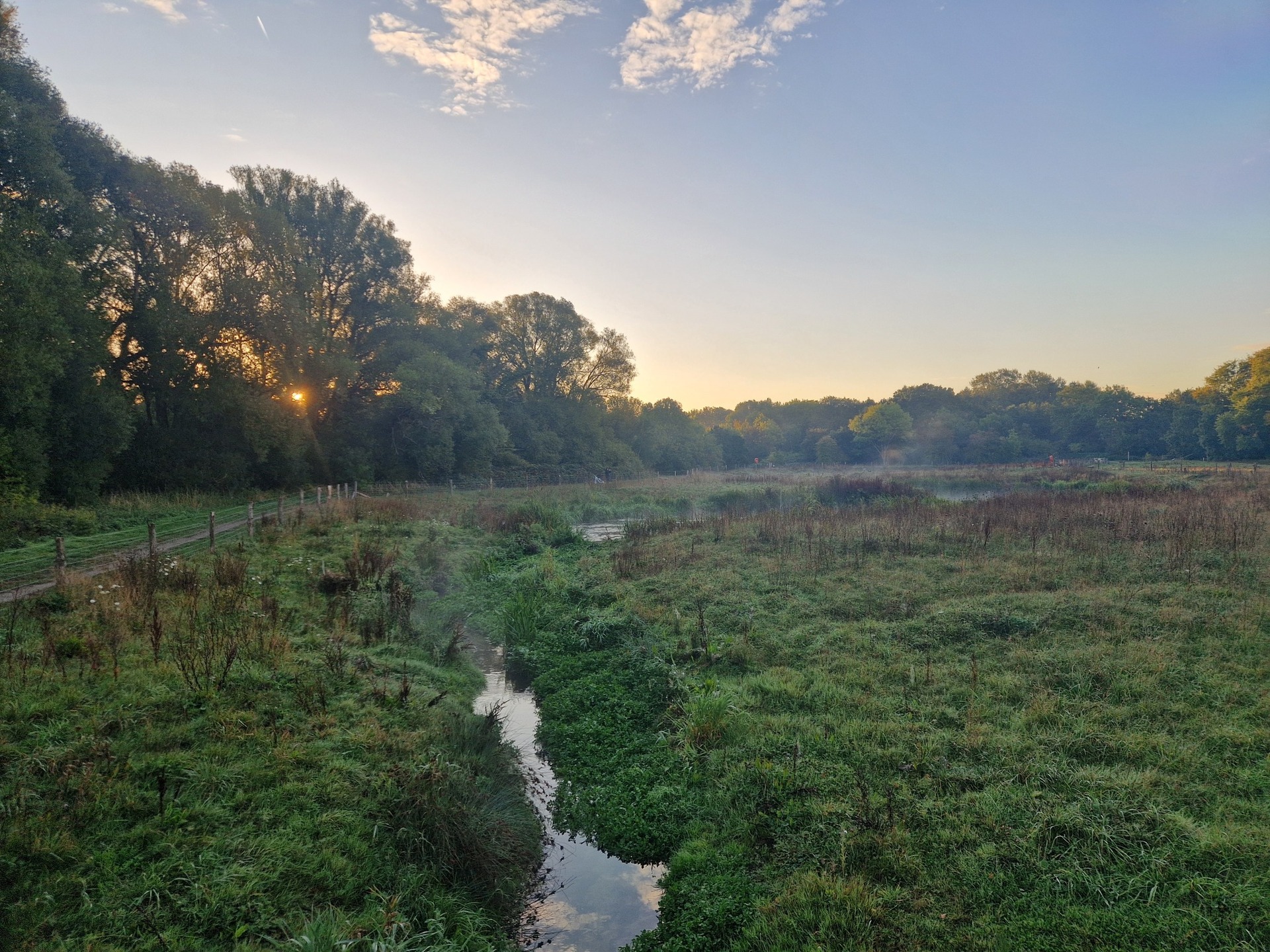 Hidden Rivers, Circus Elephants & Horton’s Ghosts