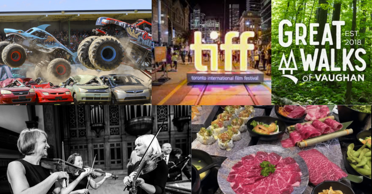 📌 The One You Can’t Miss