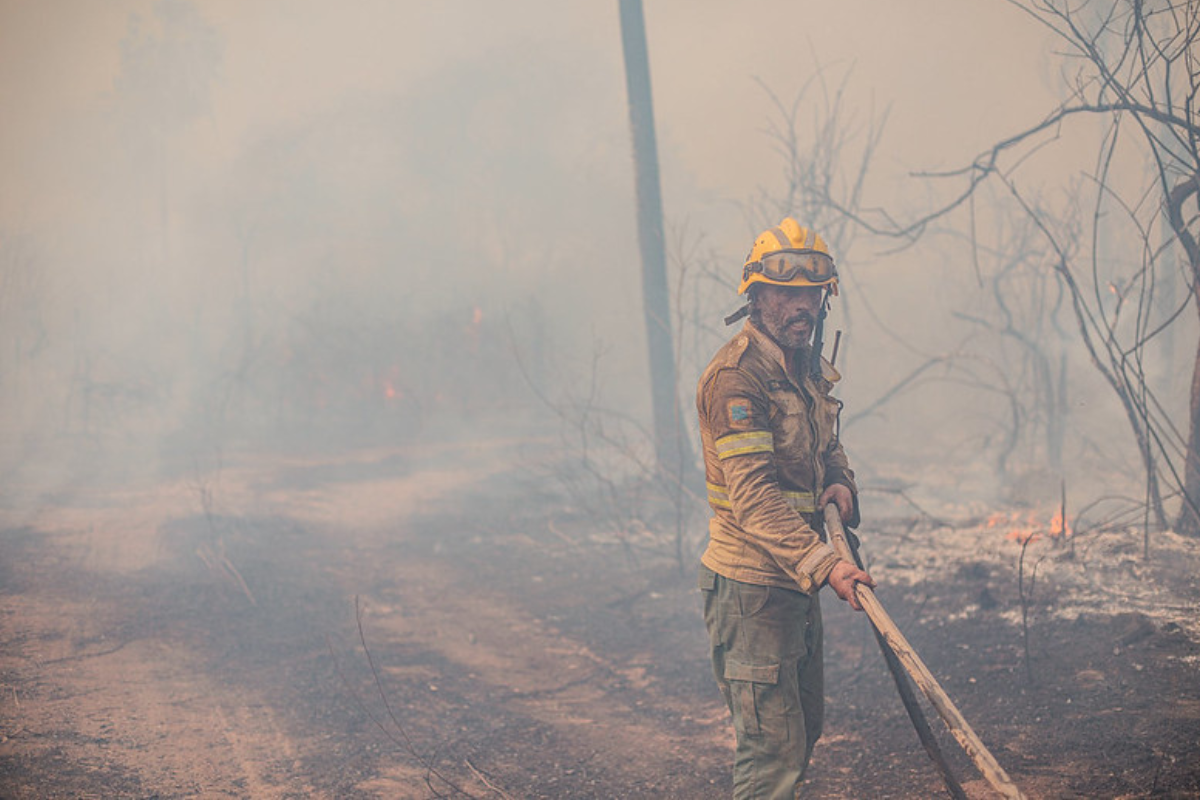 🐎 Closing the stable door *before* the horse has bolted
