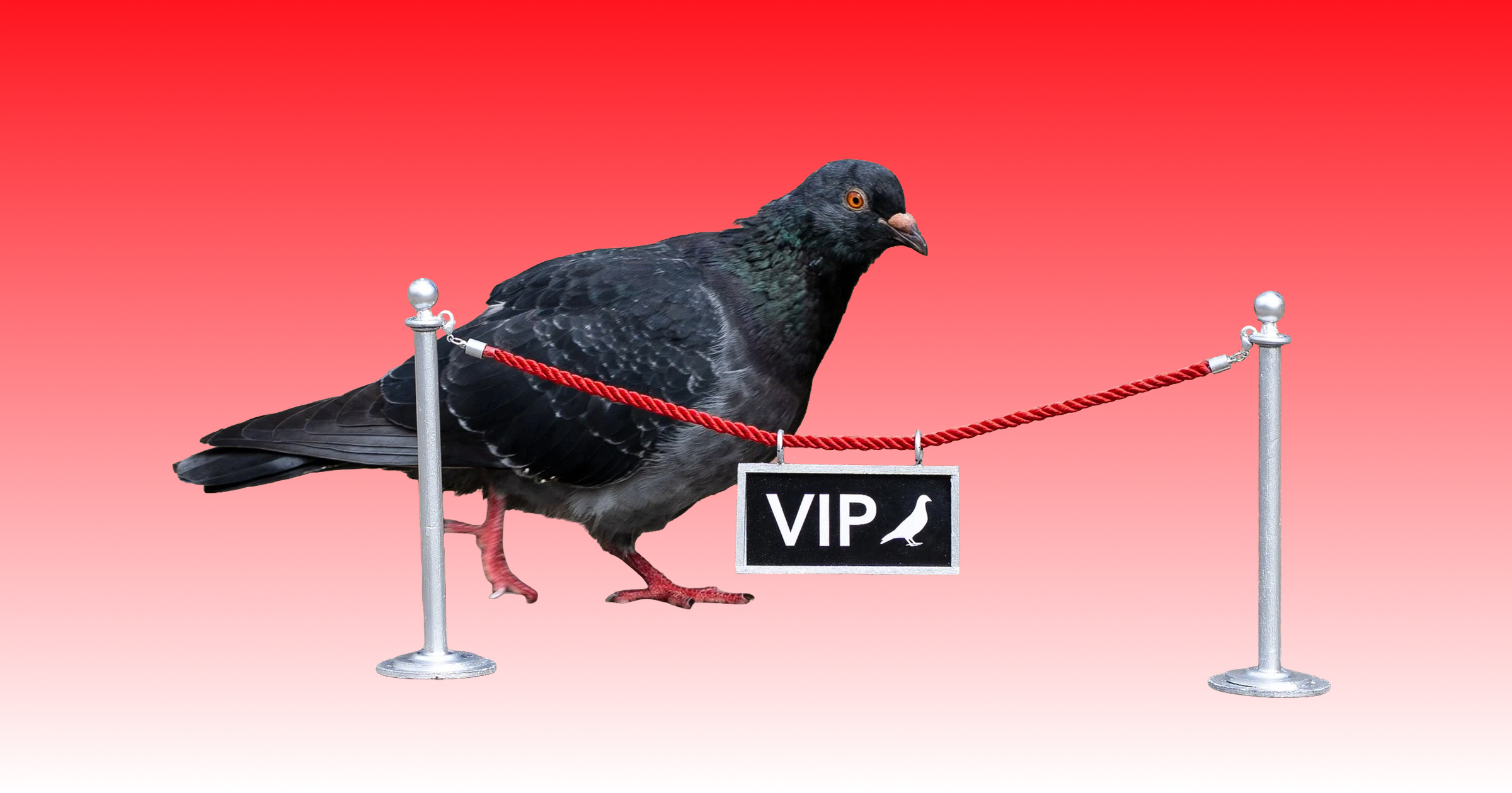 Tiny mountains, expensive diapers, filthy fountains 