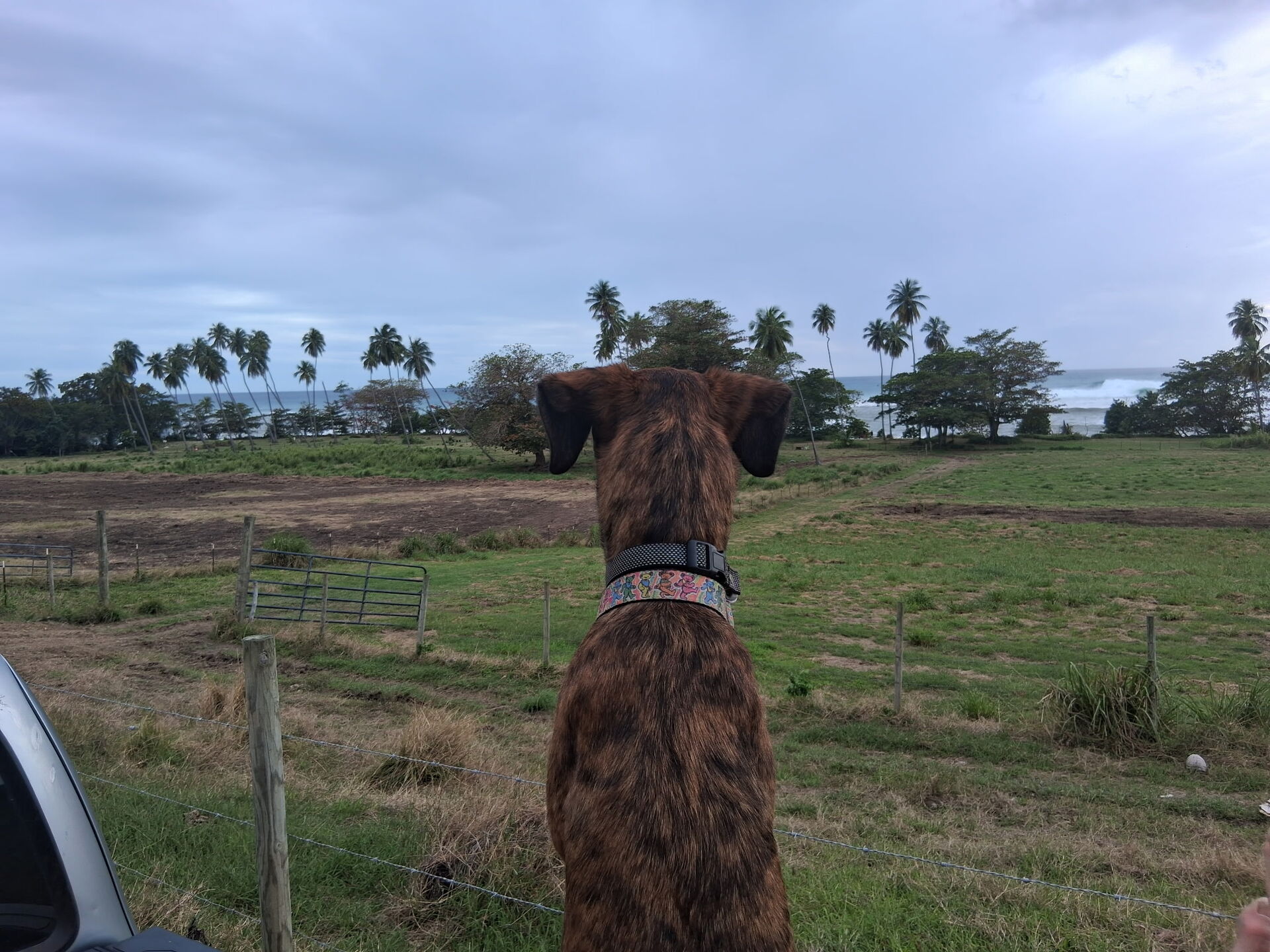 Drop In Before You're Ready