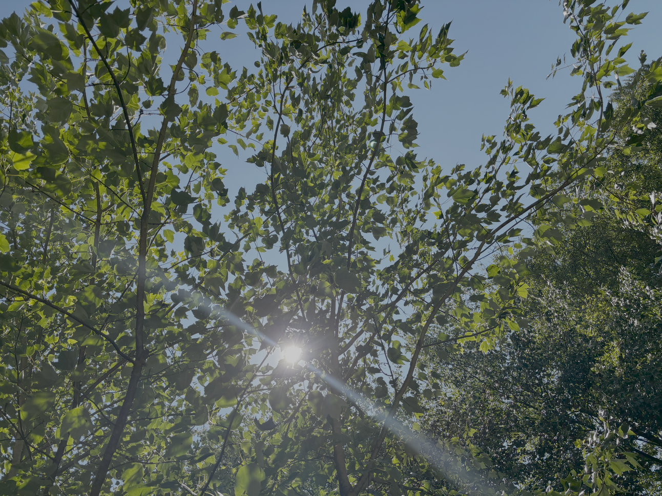 Monthly Update - June 2025