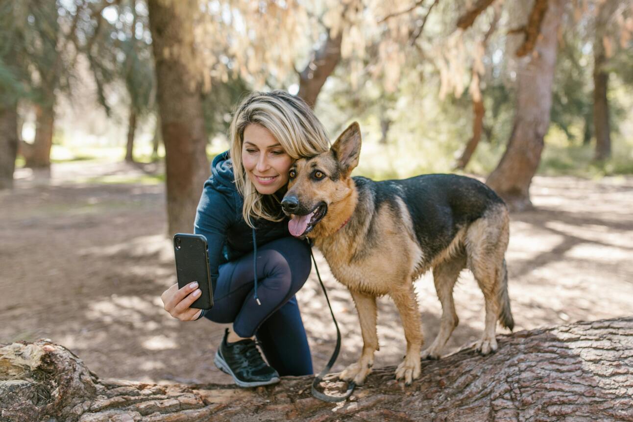 Trends Shaping the Growing Dog Care Market 🐶📈