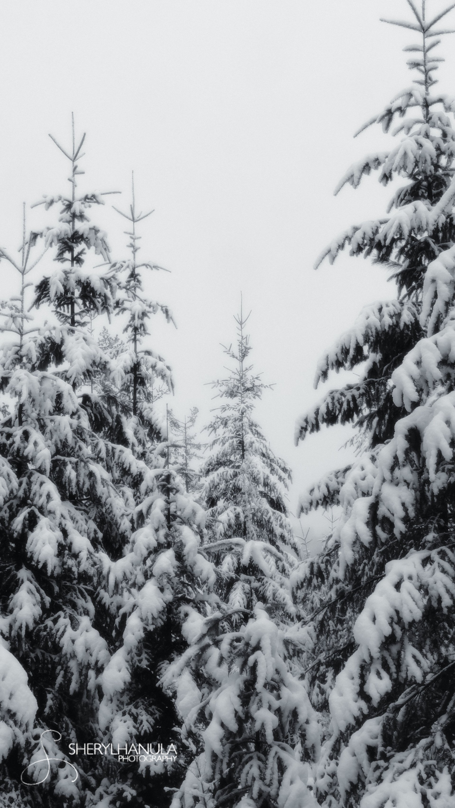 The Practice of Being:  Week 6