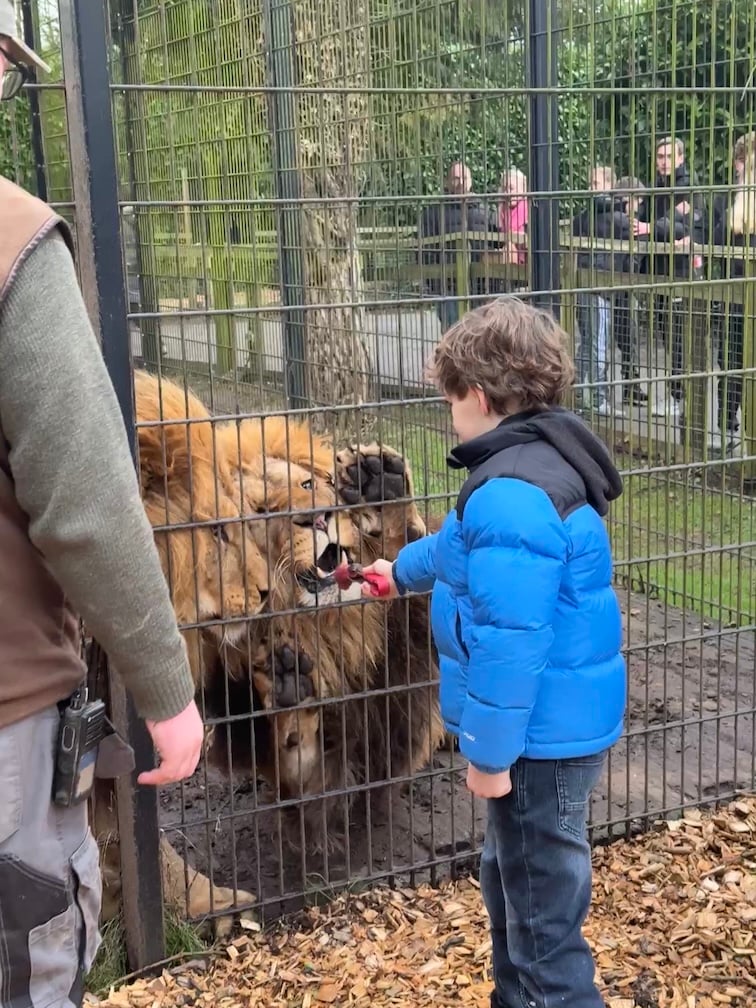 A birthday trip to the animal reserve