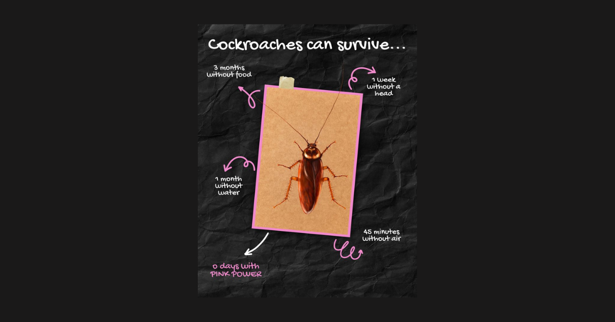 Roach Mentality