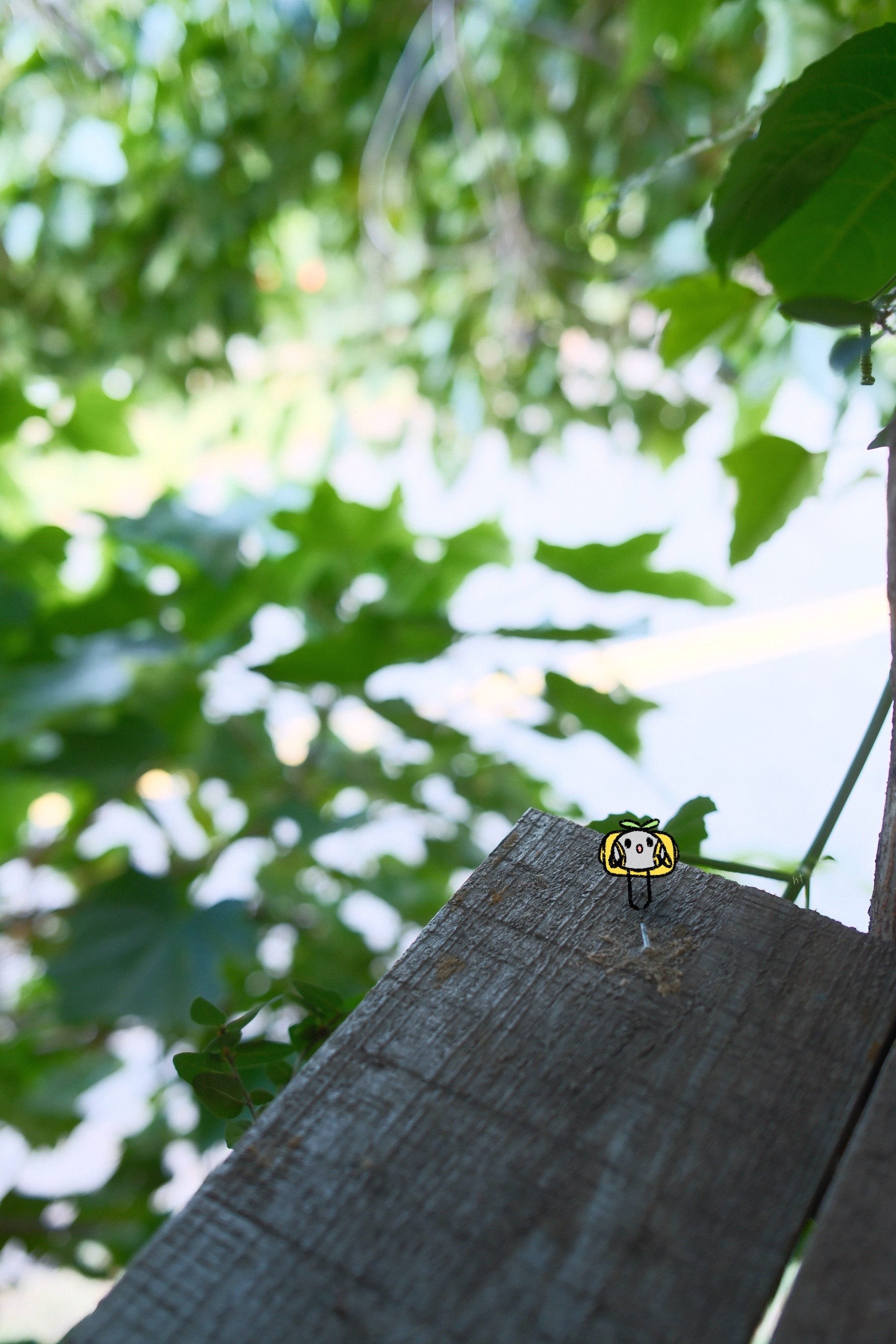 first day — pebble prose