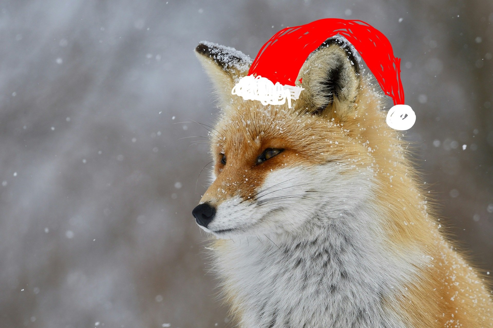 🎄 Gingerbread Villages, Tree Lightings & Frozen on Stage