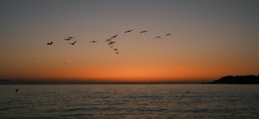 Viaje a México - Sonora