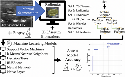 Machine learning analysis of intestinal disorders in cats