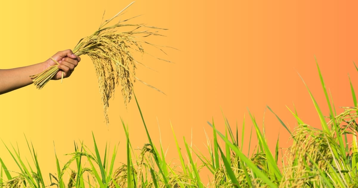 Sow when it hurts to reap in joy