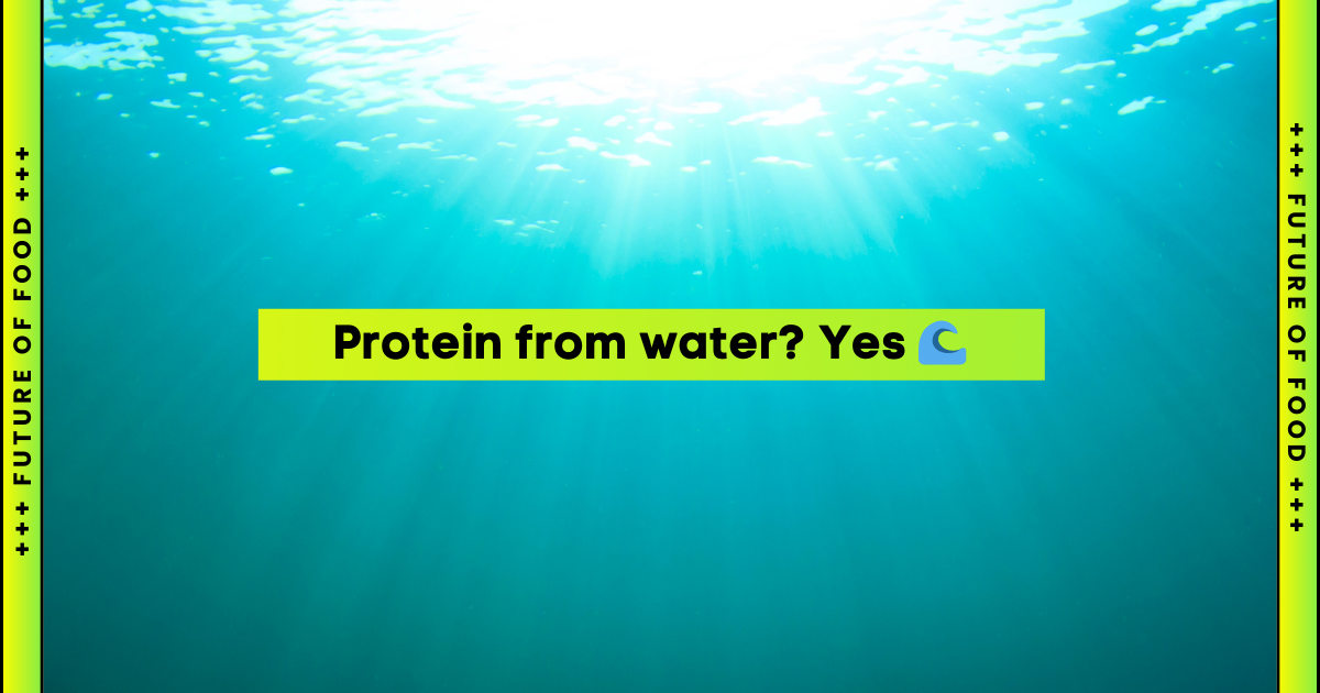 Protein from water? Yes 🌊