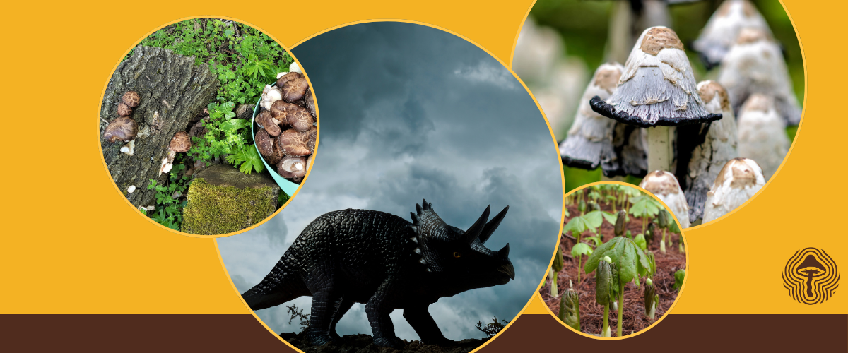 🦕 Fungi Found in Dinosaur Bones, Tumor Blockers, and Legal Psilocybin in Germany