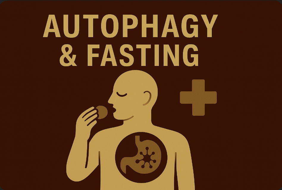 Autophagy: The Body’s Hidden Reset Button