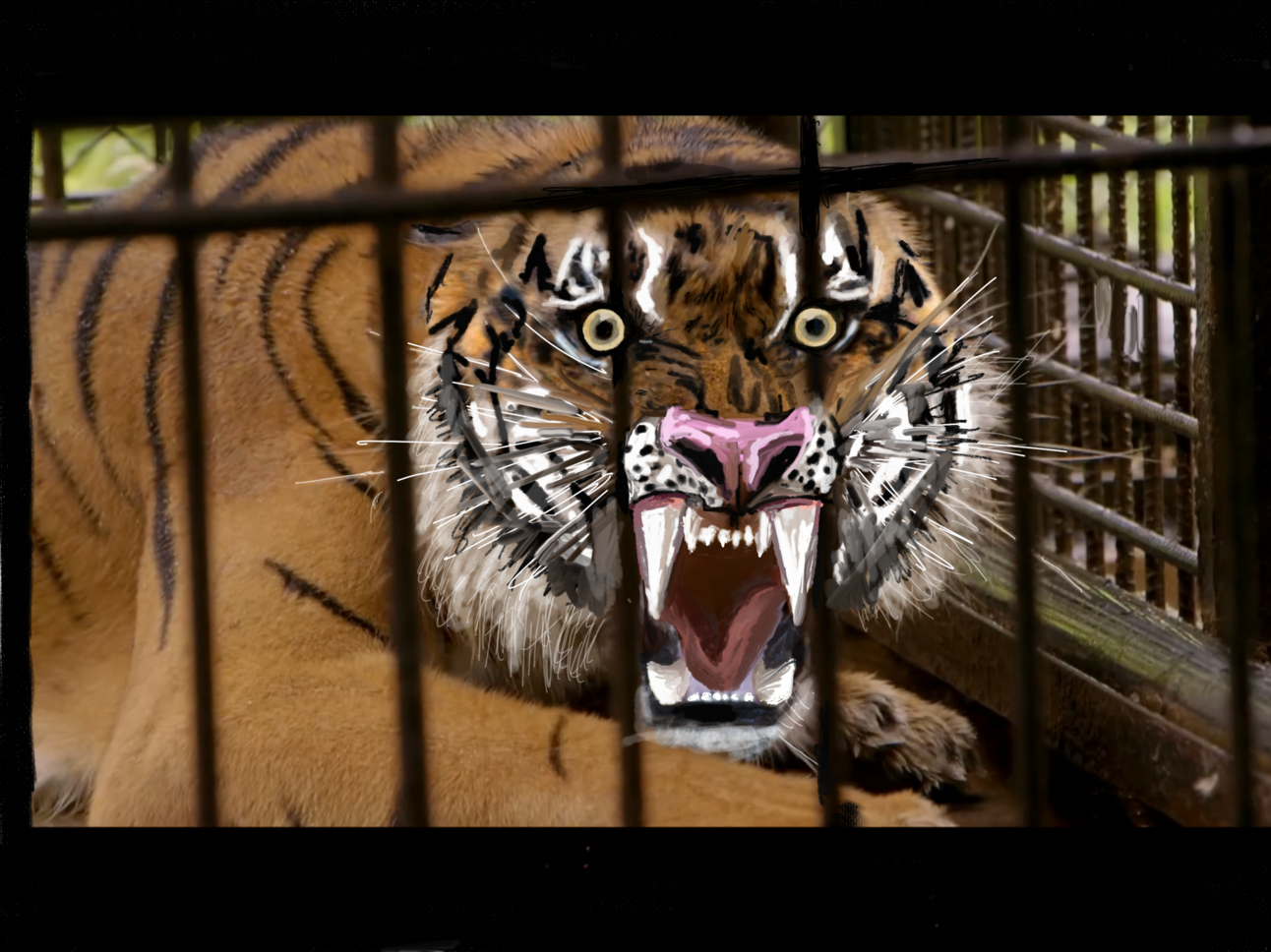 The Instinctual Aspect of Creativity