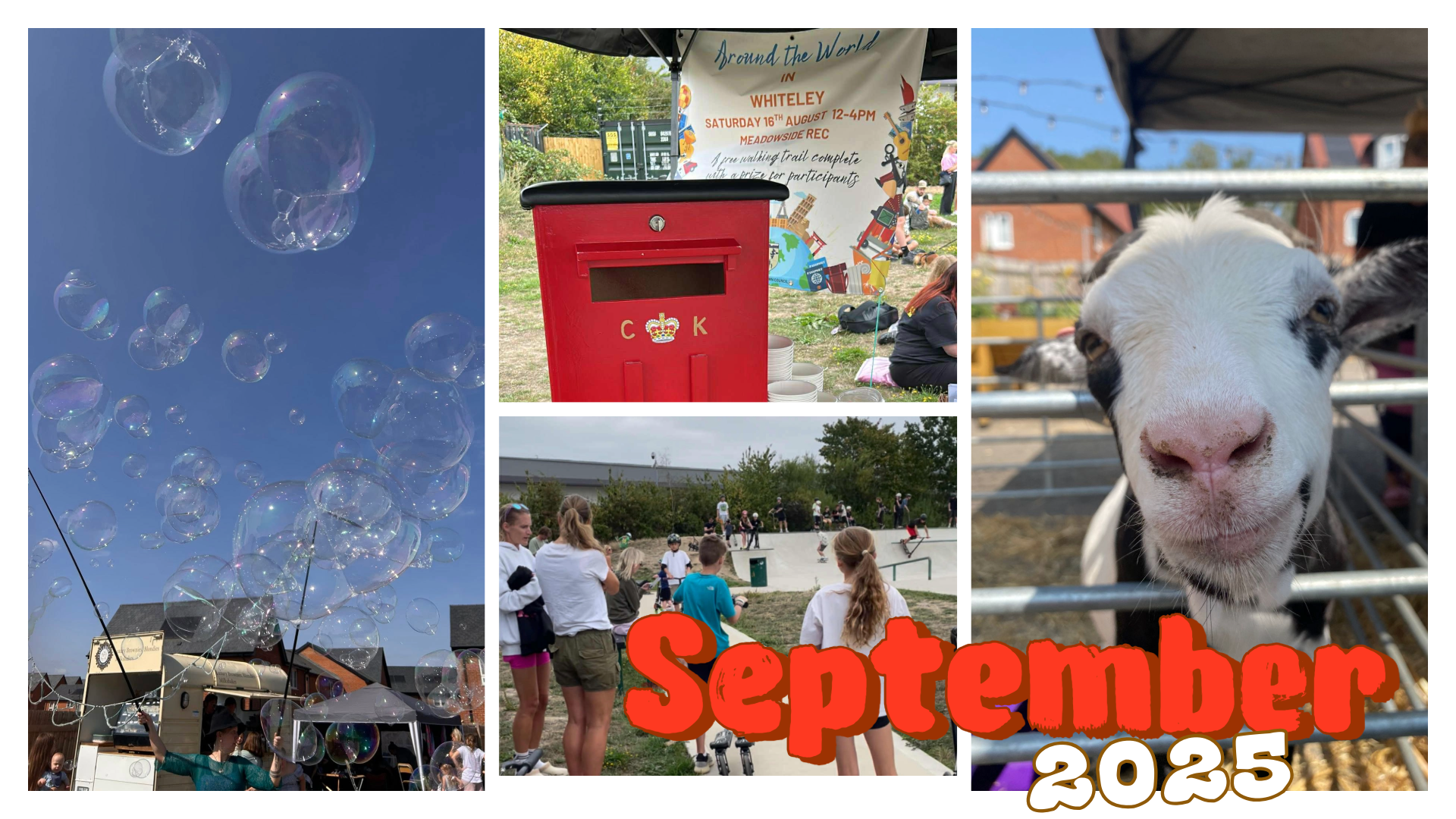 WTC Newsletter - September 2025