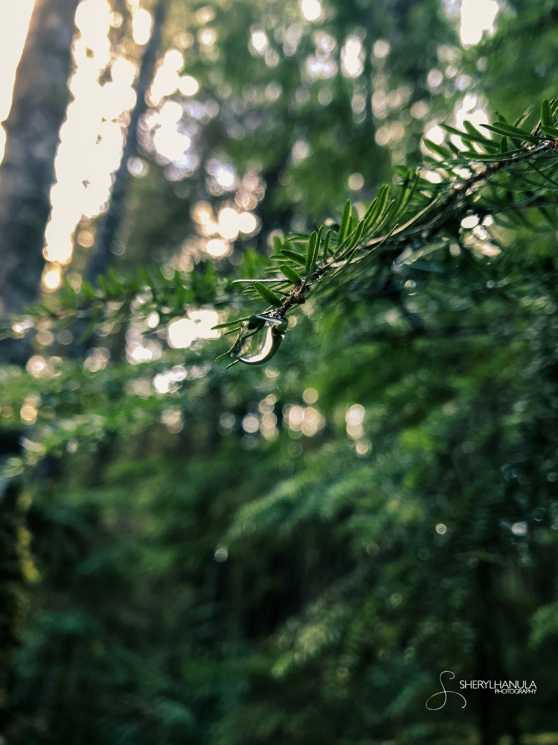 The Practice of Being:  Week 2