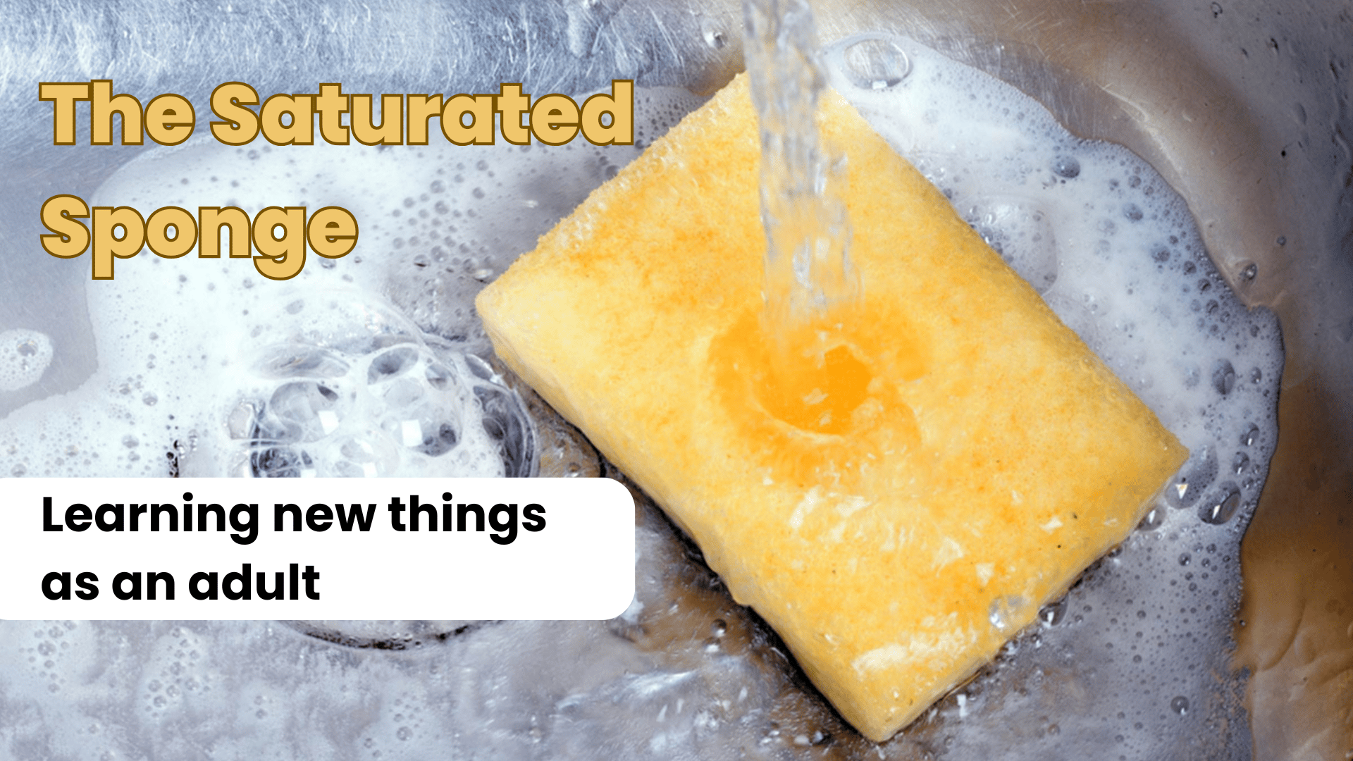 The Saturated Sponge