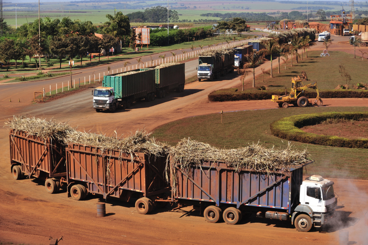 Brazilian Senate postpones “Future Fuel” bill