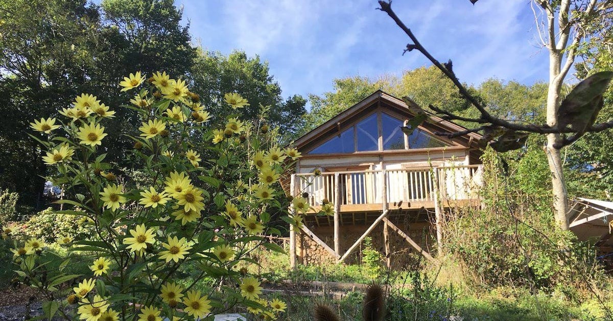  🍦 Daley visit to garden a highlight