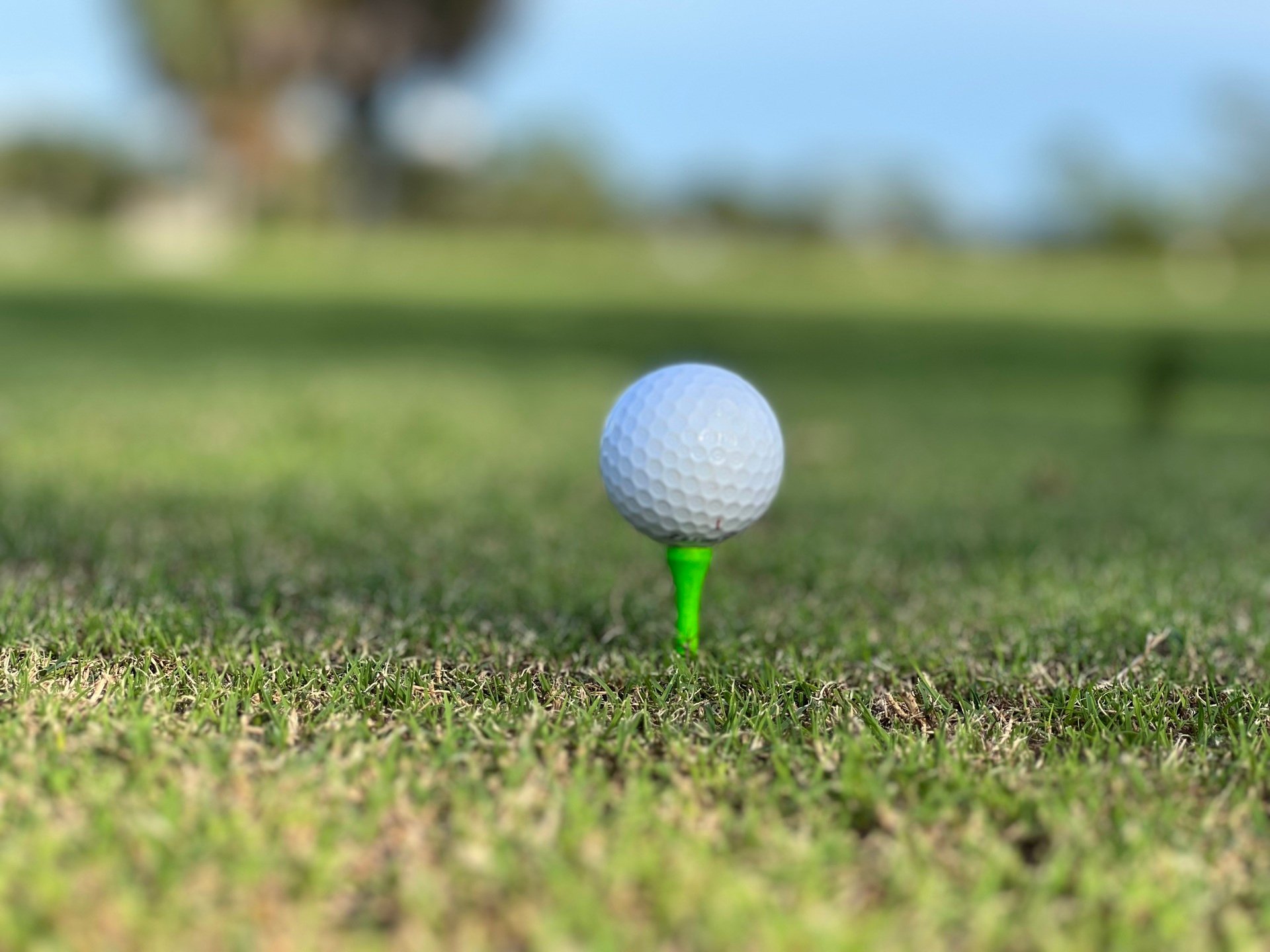 Study could determine fate of municipal golf course