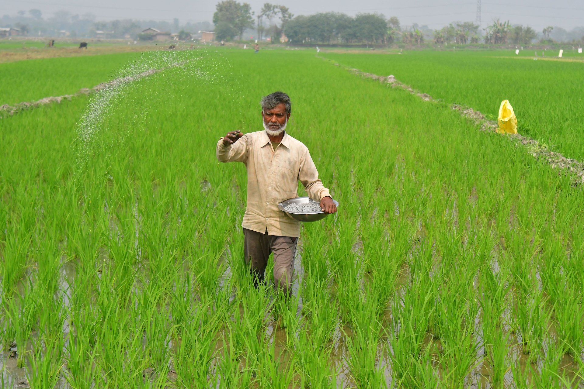 The Iran War Is a Body Blow for Agriculture
