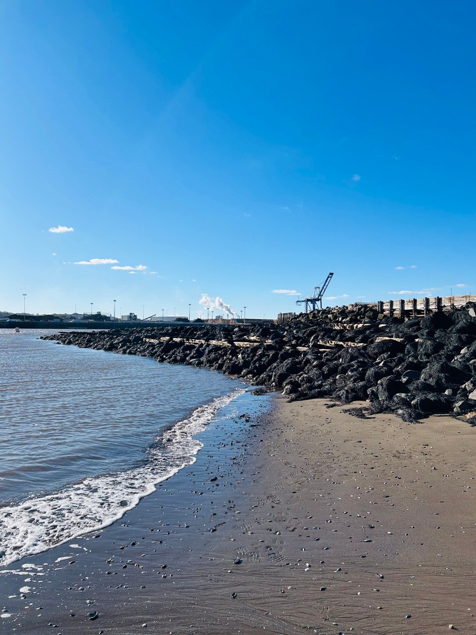 💸 New Brunswickers have lost $6.2M