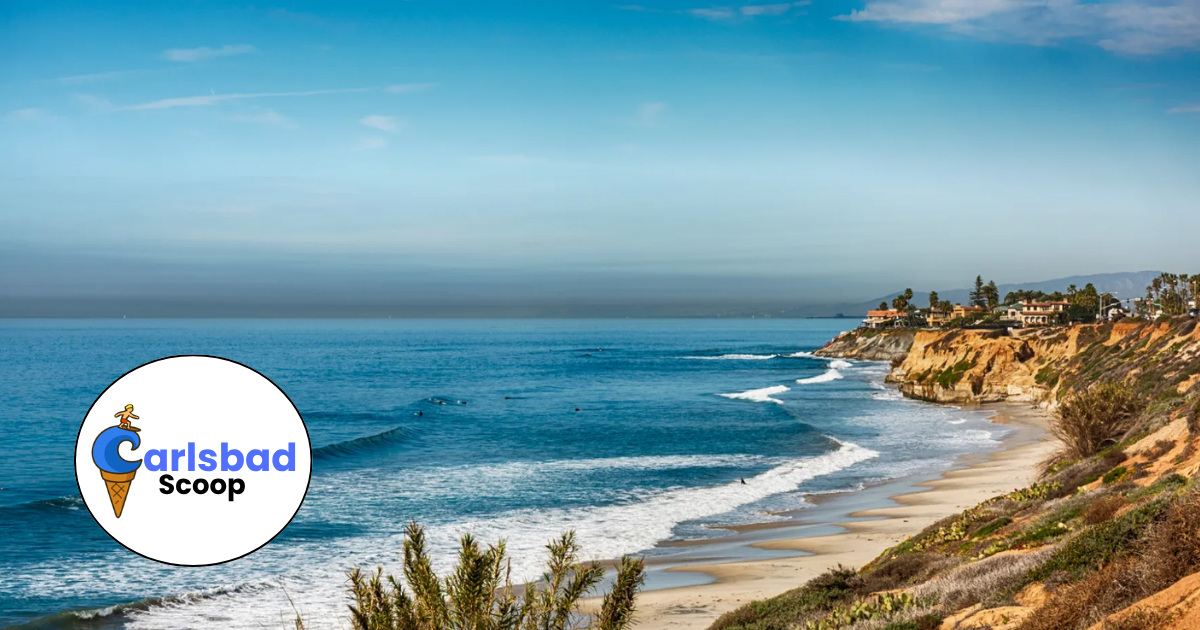 🌊 What to Do This Weekend in Carlsbad & North County
