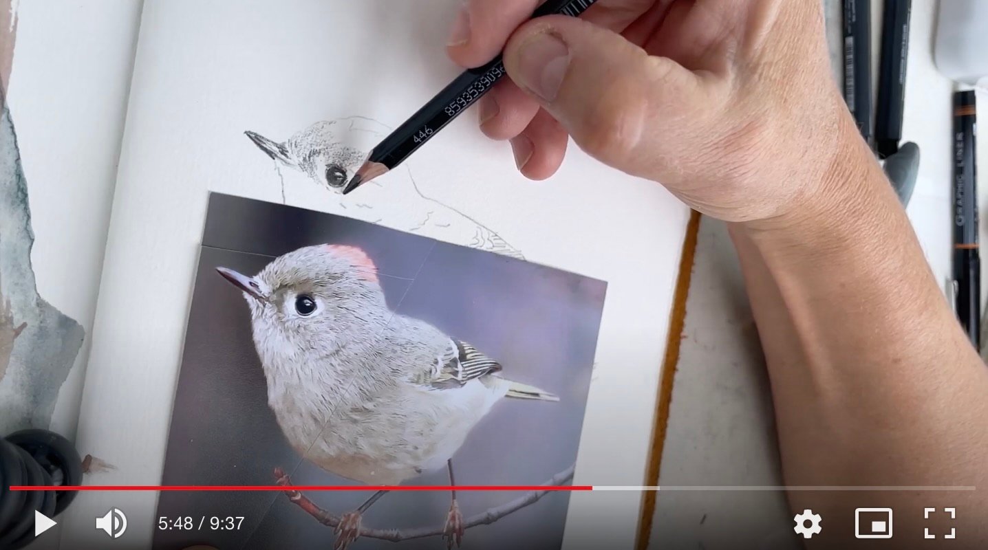 Showing You The Bird