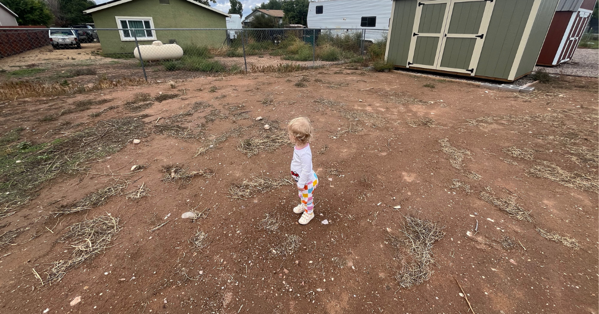 Hernia Surgery Recovery