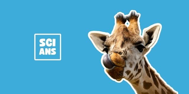 Why is everyone right-handed?