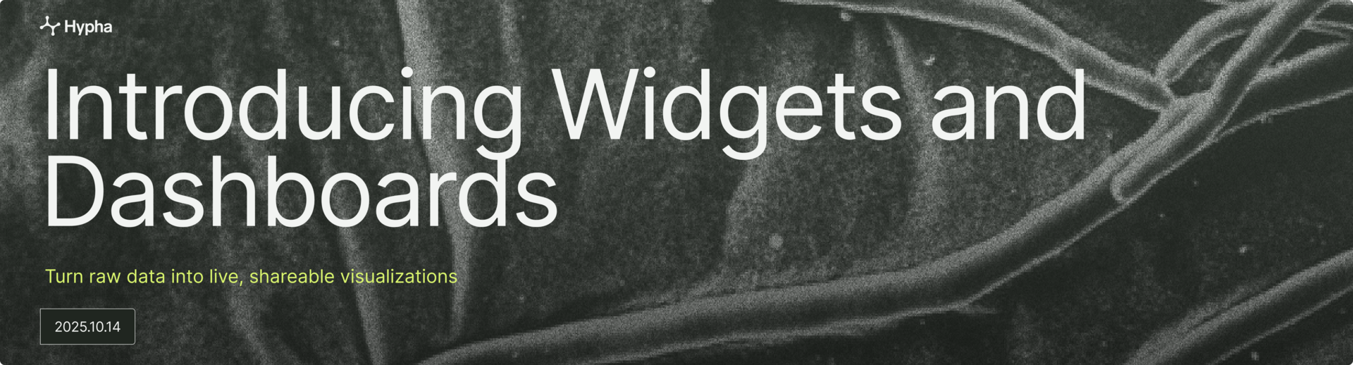 Introducing Widgets and Dashboards