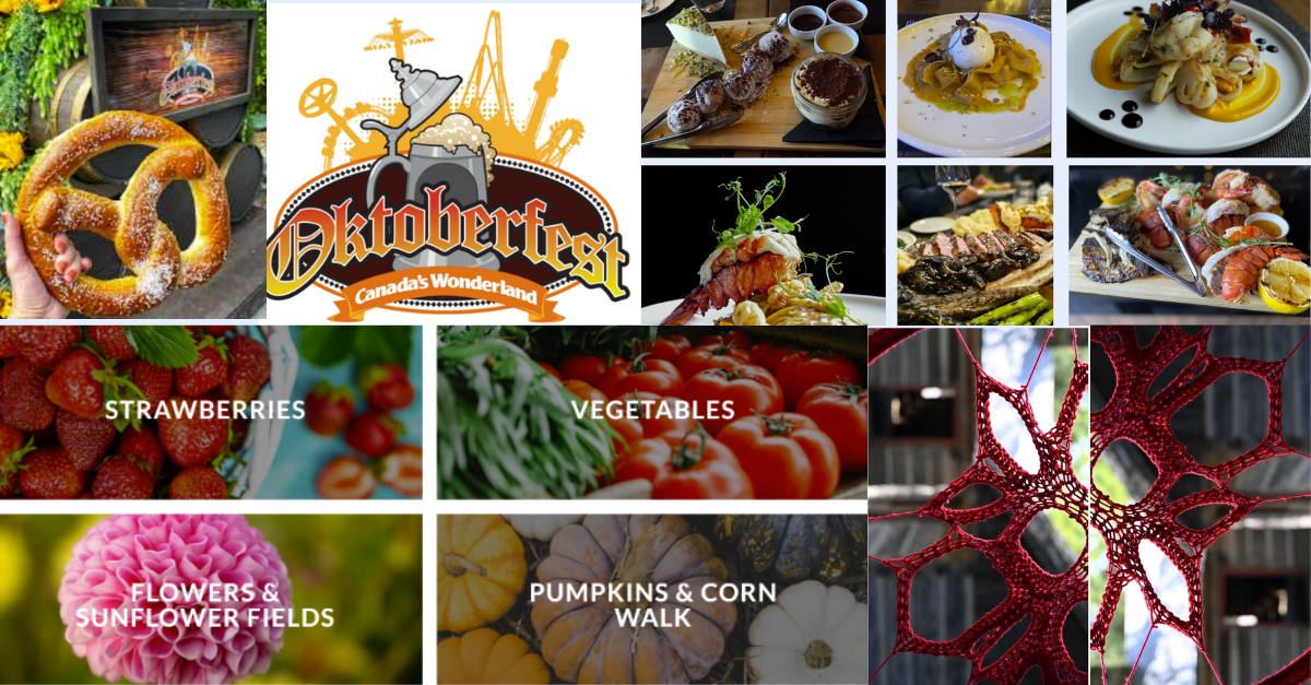 📌 5 Events Everyone Loves