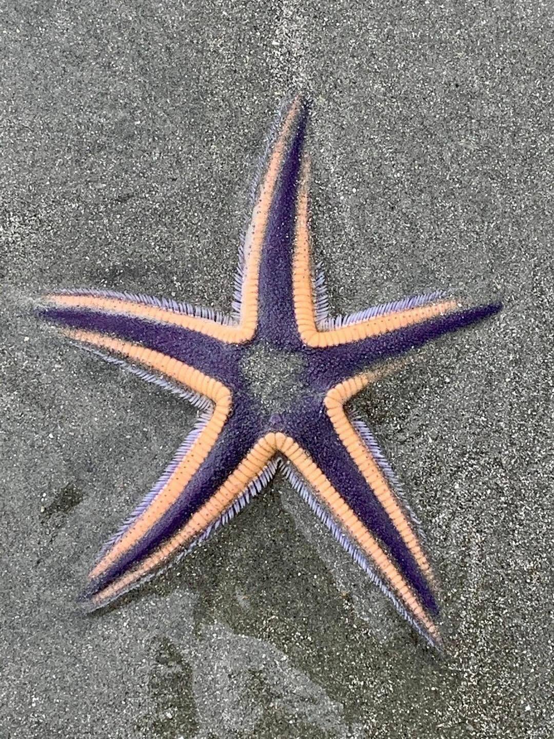 🏖️Myrtle Beach happenings and events week of 9/28/25