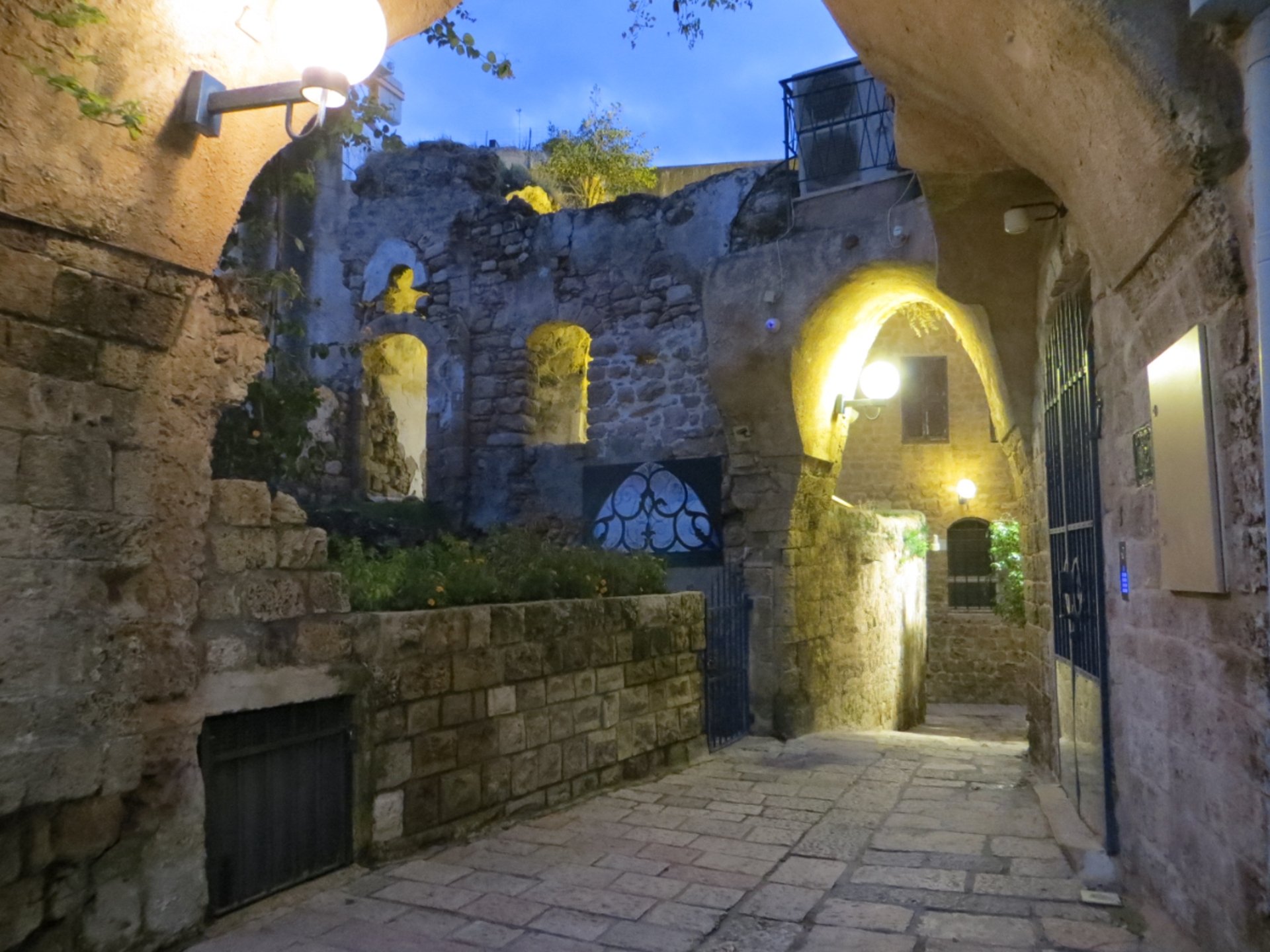 Some places you visit. Others change you. What was it like to step into the Holy Land?