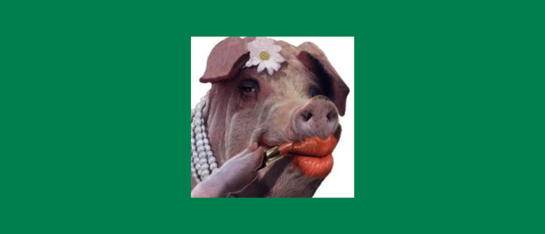 Ce que vous pouvez apprendre de ma mission avec CaptainData