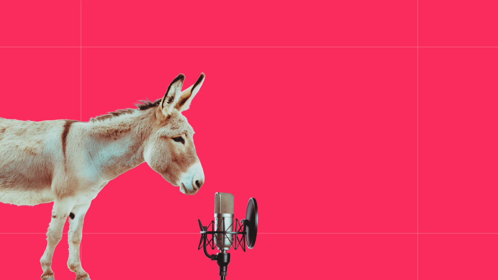 Liberal media’s big year online