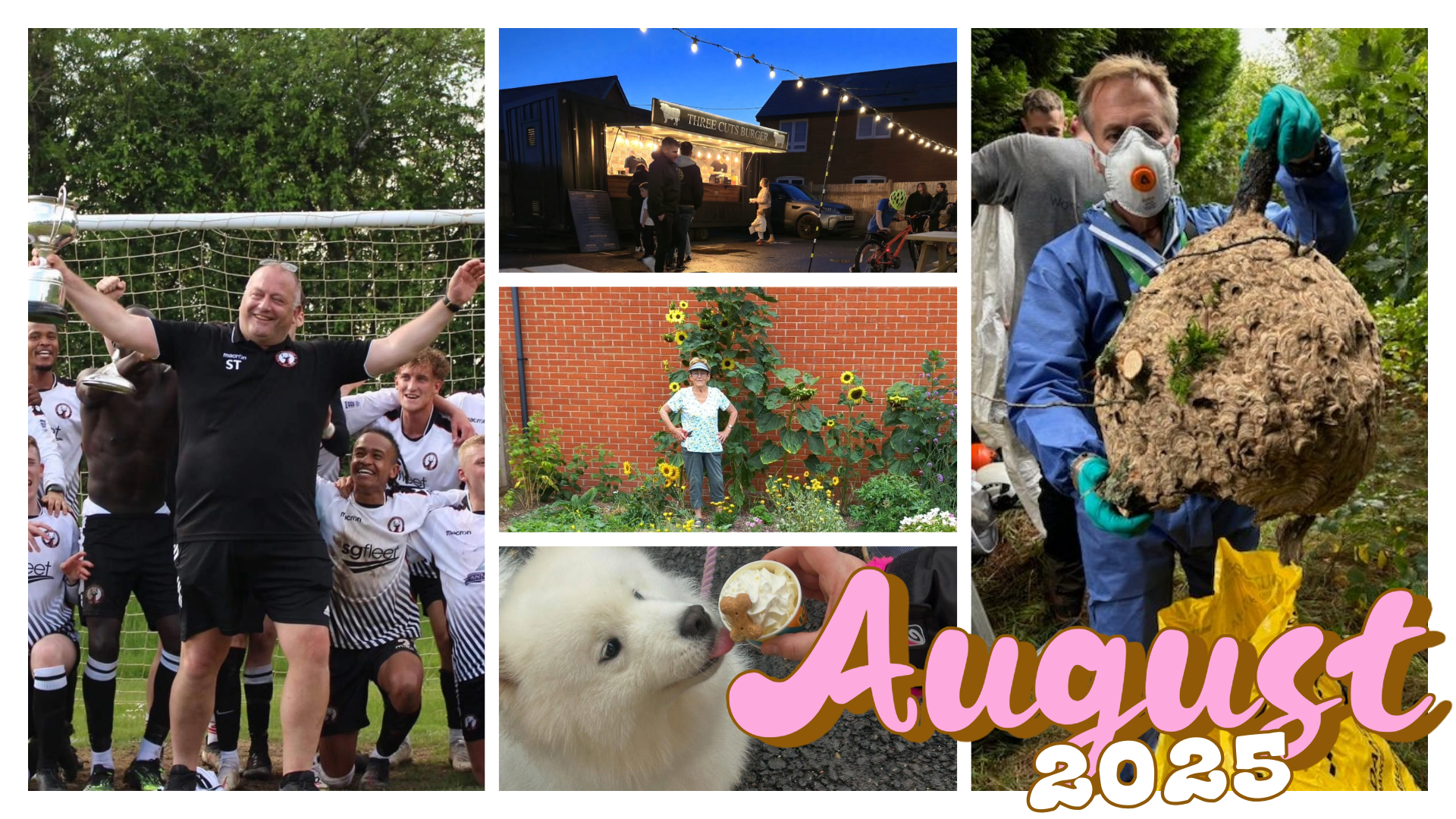 WTC Newsletter - August 2025