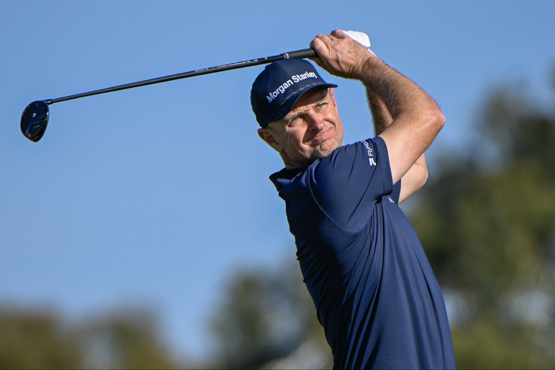 Rosie Leads The Pack