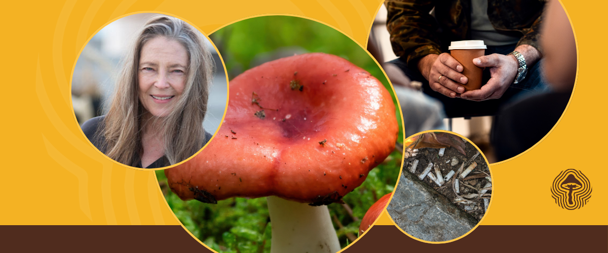 🧬 Cancer-Fighting Mushrooms, Heart Health, and Psilocybin for PTSD Relief