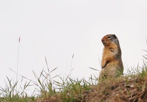 Jamie Moyer Sets Record He Never Wanted at Age 47