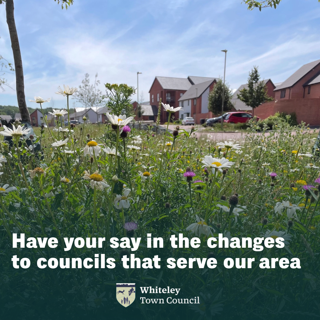 Local Government Reorganisation