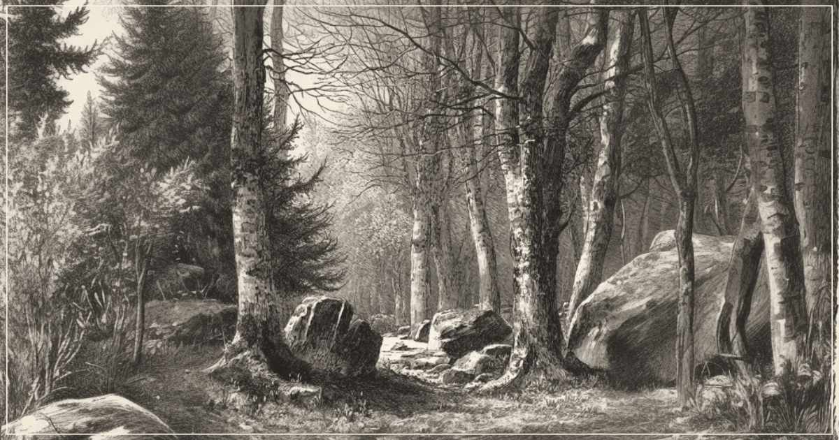 MYSTERY IN MOUNT TREMPER