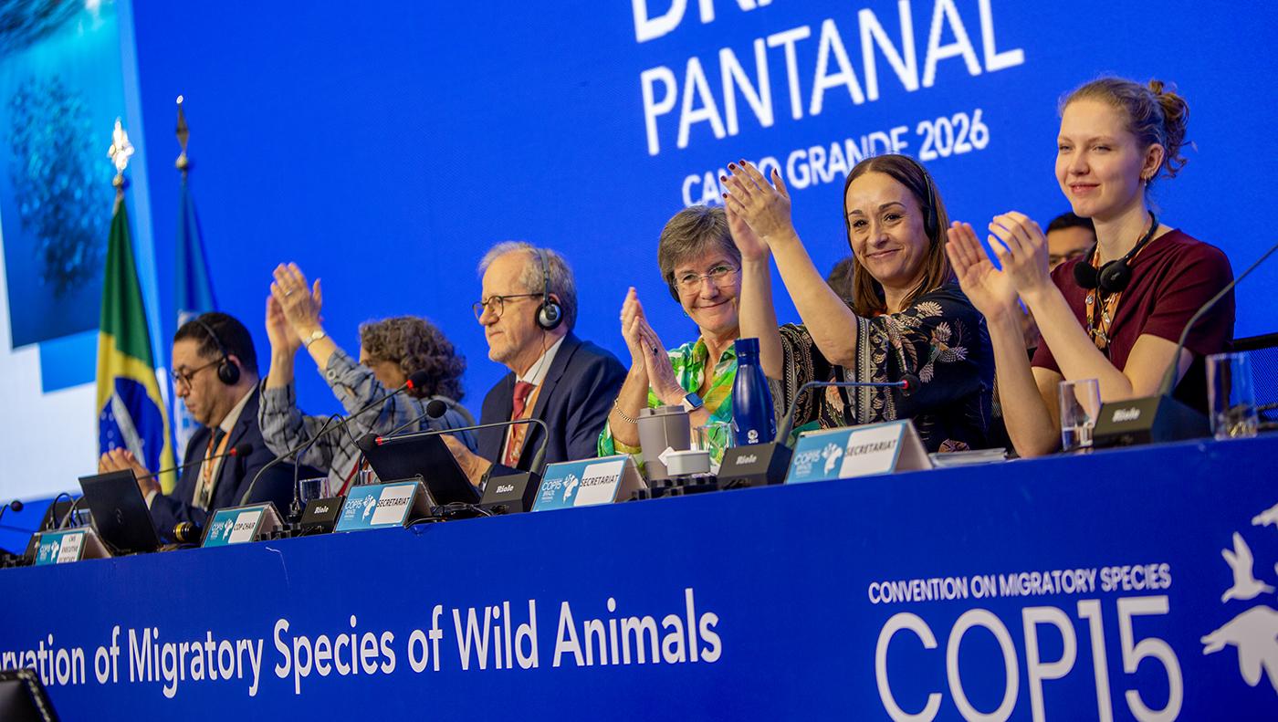 🌎 Brazil’s new path for migration