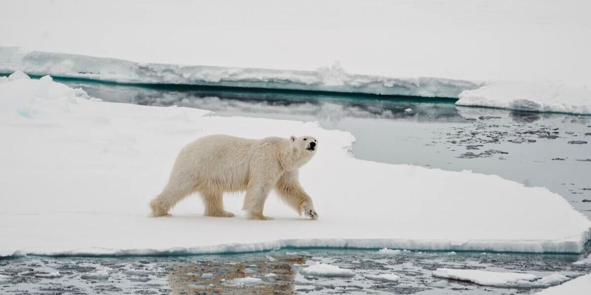 Take Me There: The Arctic Circle