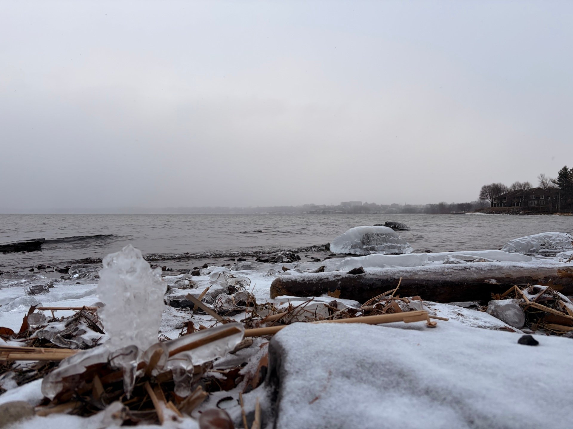 Friday, January 23rd