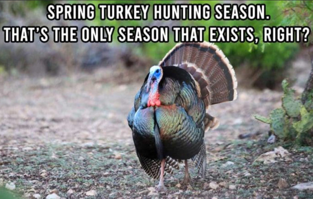 Spring Turkey Season 2026 Preview 