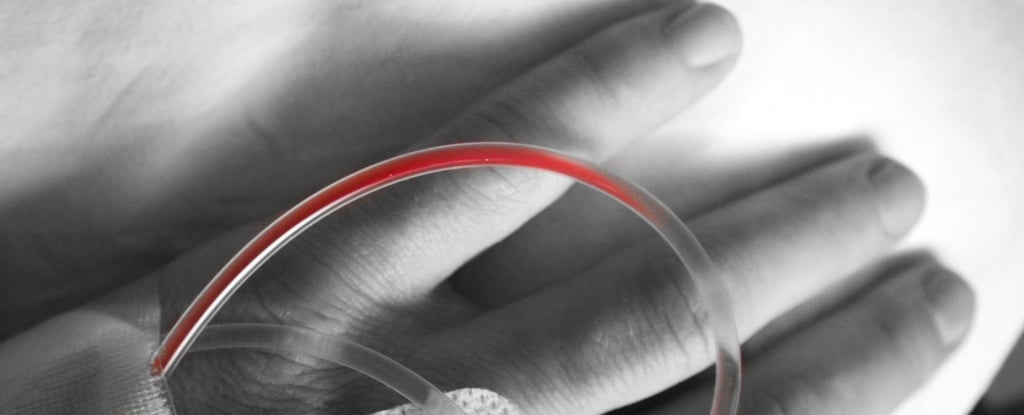 Can you rid your blood of microplastics?