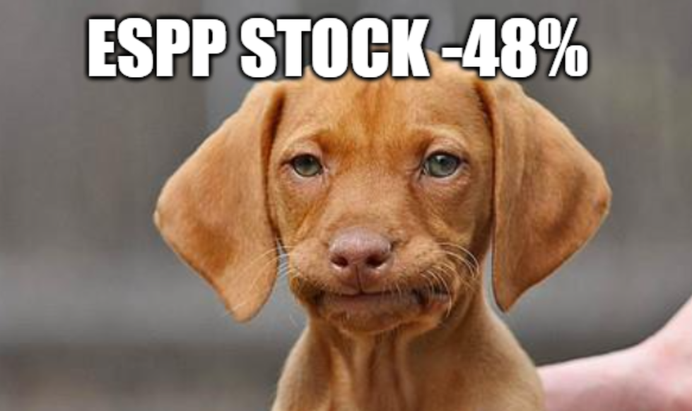 Pulling Back The Curtain